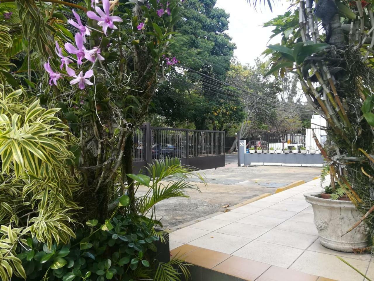 Jardines Del Teatro Hotel Santo Domingo Buitenkant foto